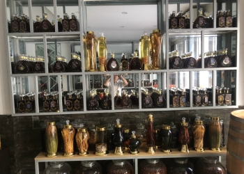 Một số loại rượu thảo dược tốt cho sức khỏe nhất hiện nay